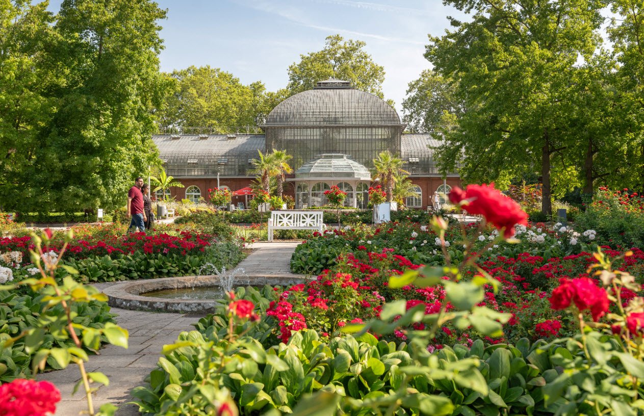 Botanischer Garten Frankfurt, Frankfurt am Main, Germany, Germany
